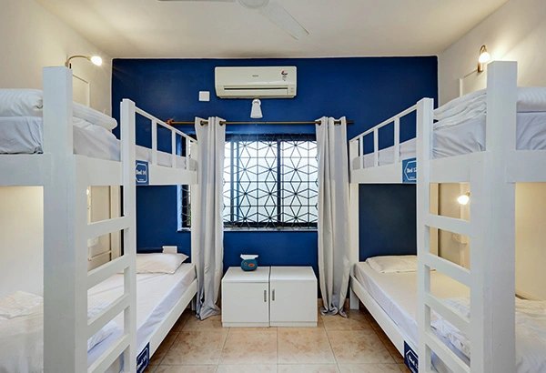 Mixed Dormitory Beds