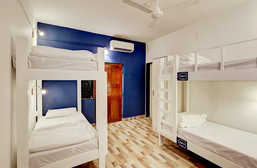 Mixed Dormitory Backspace
